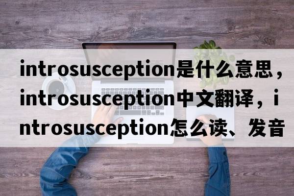 introsusception是什么意思，introsusception中文翻译，introsusception怎么读、发音、用法及例句