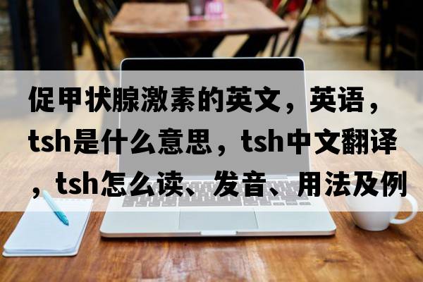 促甲状腺激素的英文，英语，tsh是什么意思，tsh中文翻译，tsh怎么读、发音、用法及例句