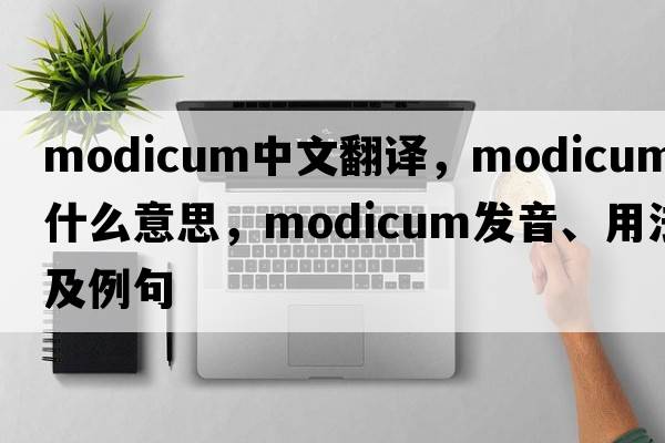 modicum中文翻译，modicum是什么意思，modicum发音、用法及例句