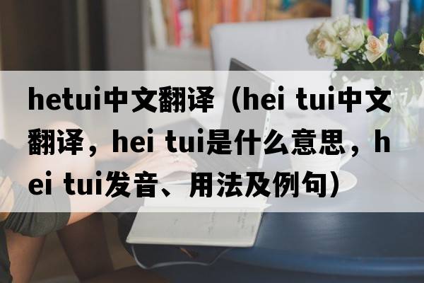 hetui中文翻译（hei tui中文翻译，hei tui是什么意思，hei tui发音、用法及例句）