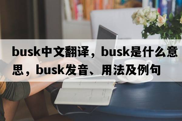 busk中文翻译，busk是什么意思，busk发音、用法及例句