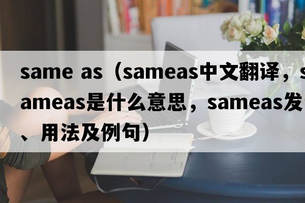 same as（sameas中文翻译，sameas是什么意思，sameas发音、用法及例句）