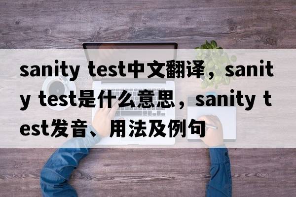 sanity test中文翻译，sanity test是什么意思，sanity test发音、用法及例句