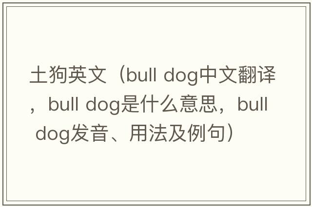 土狗英文（bull dog中文翻译，bull dog是什么意思，bull dog发音、用法及例句）
