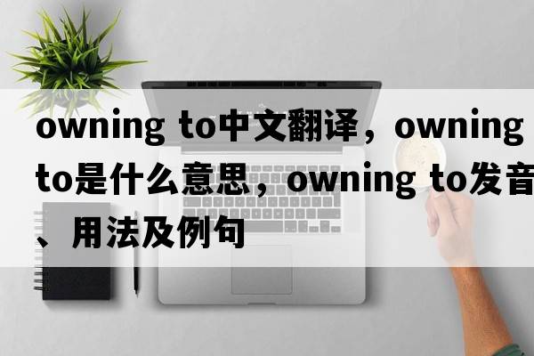 owning to中文翻译，owning to是什么意思，owning to发音、用法及例句