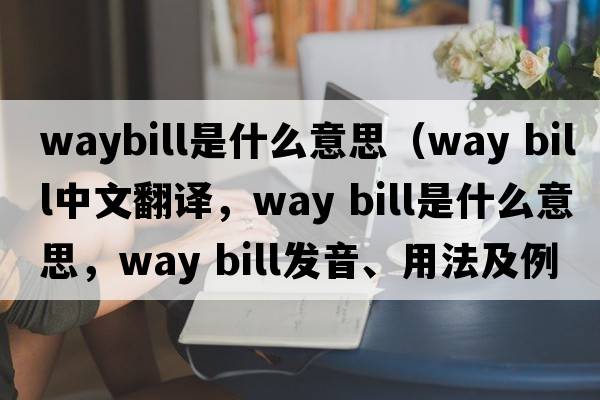 waybill是什么意思（way bill中文翻译，way bill是什么意思，way bill发音、用法及例句）