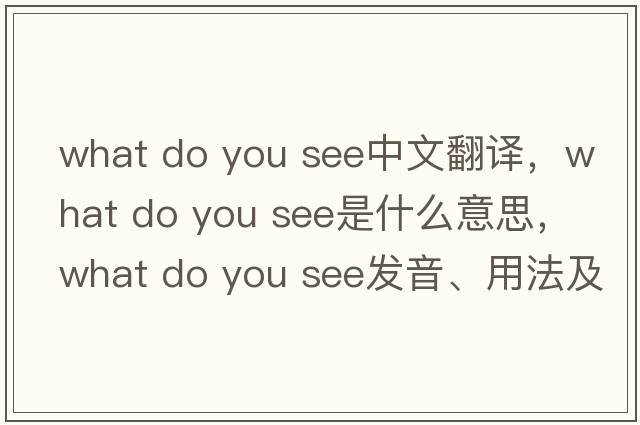 what do you see中文翻译，what do you see是什么意思，what do you see发音、用法及例句