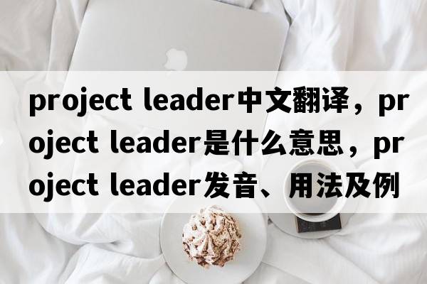 project leader中文翻译，project leader是什么意思，project leader发音、用法及例句