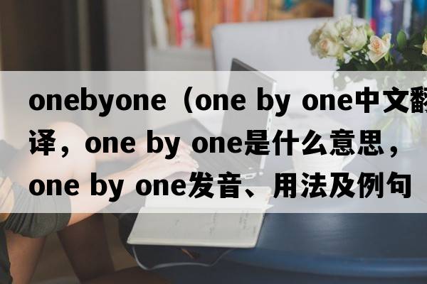 onebyone（one by one中文翻译，one by one是什么意思，one by one发音、用法及例句）