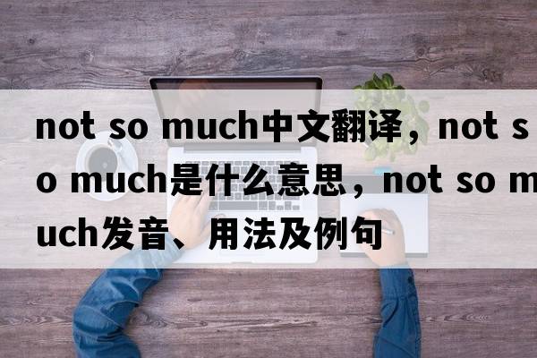 not so much中文翻译，not so much是什么意思，not so much发音、用法及例句