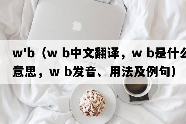w'b（W B中文翻译，W B是什么意思，W B发音、用法及例句）