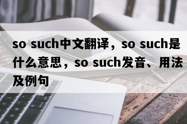 so such中文翻译，so such是什么意思，so such发音、用法及例句