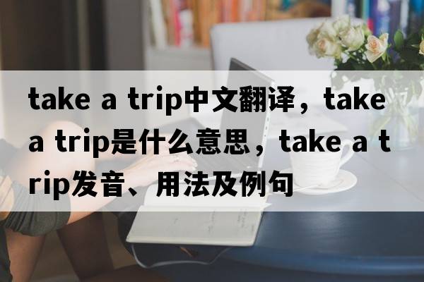 take a trip中文翻译，take a trip是什么意思，take a trip发音、用法及例句