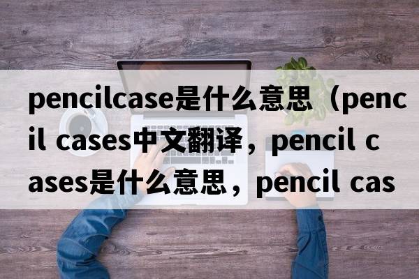 pencilcase是什么意思（pencil cases中文翻译，pencil cases是什么意思，pencil cases发音、用法及例句）