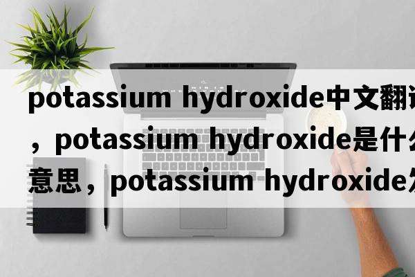 potassium hydroxide中文翻译，potassium hydroxide是什么意思，potassium hydroxide发音、用法及例句