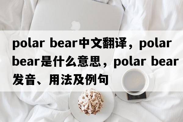 polar bear中文翻译，polar bear是什么意思，polar bear发音、用法及例句