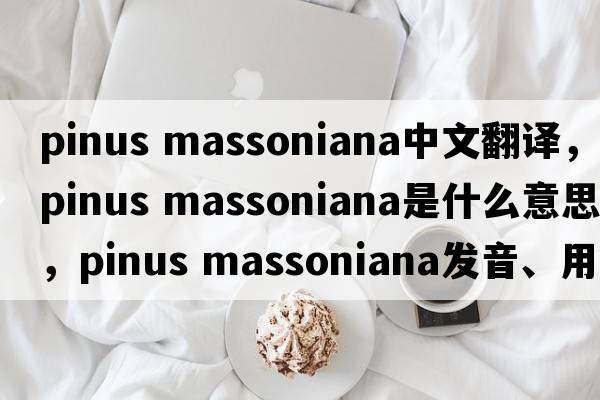 pinus massoniana中文翻译，pinus massoniana是什么意思，pinus massoniana发音、用法及例句
