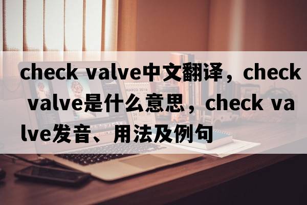 check valve中文翻译，check valve是什么意思，check valve发音、用法及例句