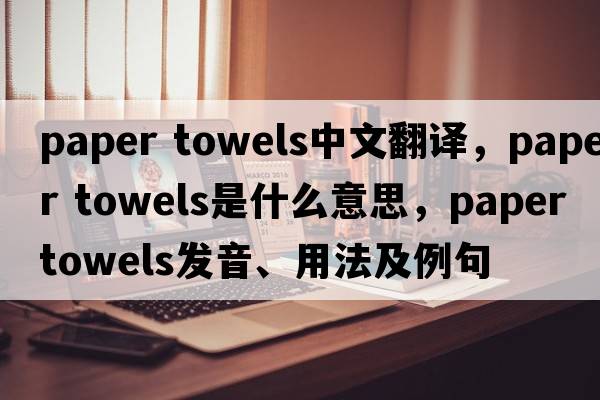 paper towels中文翻译，paper towels是什么意思，paper towels发音、用法及例句