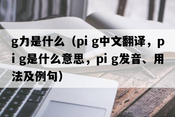 g力是什么（pi g中文翻译，pi g是什么意思，pi g发音、用法及例句）
