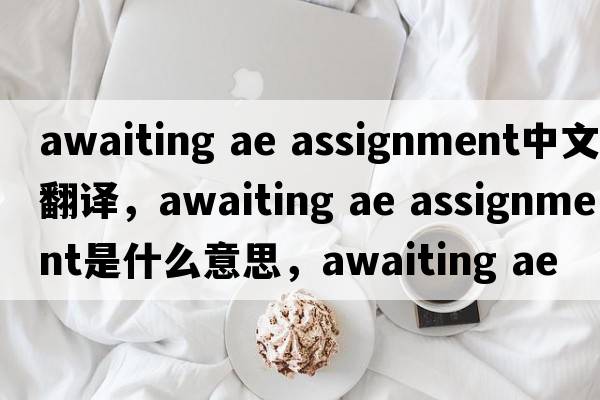 awaiting ae assignment中文翻译，awaiting ae assignment是什么意思，awaiting ae assignment发音、用法及例句