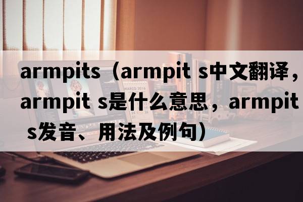armpits（armpit s中文翻译，armpit s是什么意思，armpit s发音、用法及例句）