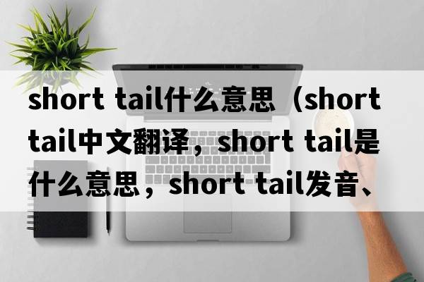 short tail什么意思（short tail中文翻译，short tail是什么意思，short tail发音、用法及例句）