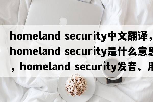 homeland security中文翻译，homeland security是什么意思，homeland security发音、用法及例句