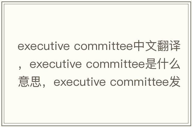 executive committee中文翻译，executive committee是什么意思，executive committee发音、用法及例句