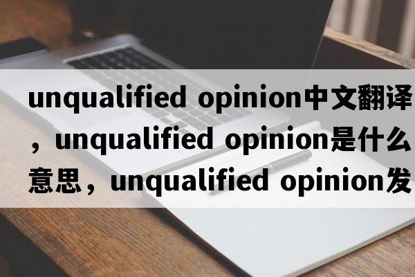 unqualified opinion中文翻译，unqualified opinion是什么意思，unqualified opinion发音、用法及例句