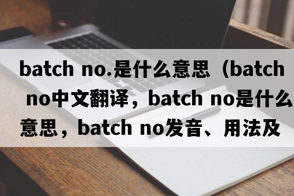 batch no.是什么意思（batch no中文翻译，batch no是什么意思，batch no发音、用法及例句）