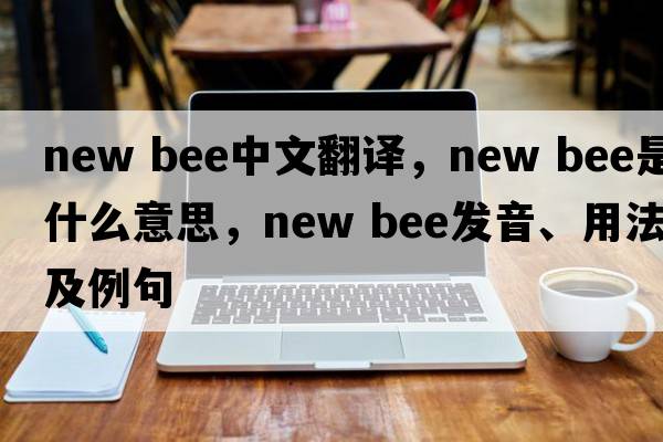 new bee中文翻译，new bee是什么意思，new bee发音、用法及例句