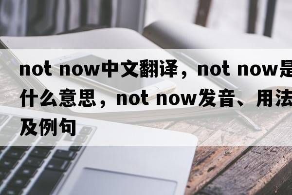 not now中文翻译，not now是什么意思，not now发音、用法及例句
