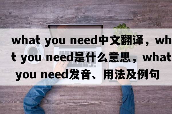 what you need中文翻译，what you need是什么意思，what you need发音、用法及例句