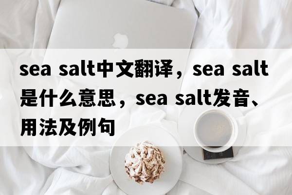 sea salt中文翻译，sea salt是什么意思，sea salt发音、用法及例句