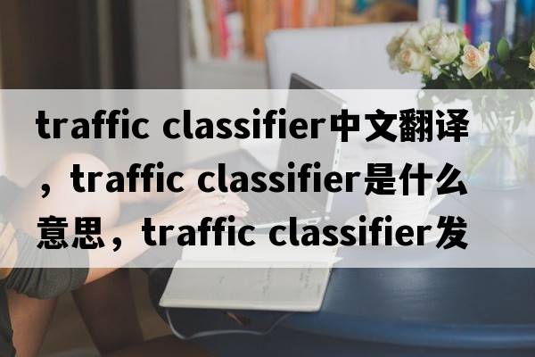 traffic classifier中文翻译，traffic classifier是什么意思，traffic classifier发音、用法及例句
