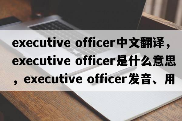 executive officer中文翻译，executive officer是什么意思，executive officer发音、用法及例句