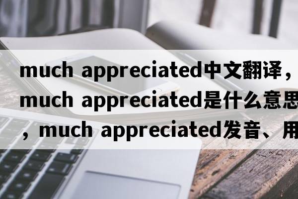 much appreciated中文翻译，much appreciated是什么意思，much appreciated发音、用法及例句