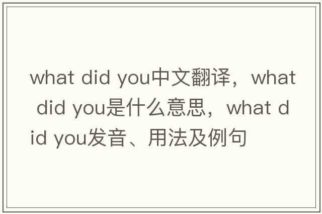 what did you中文翻译，what did you是什么意思，what did you发音、用法及例句