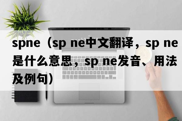 spne（sp ne中文翻译，sp ne是什么意思，sp ne发音、用法及例句）
