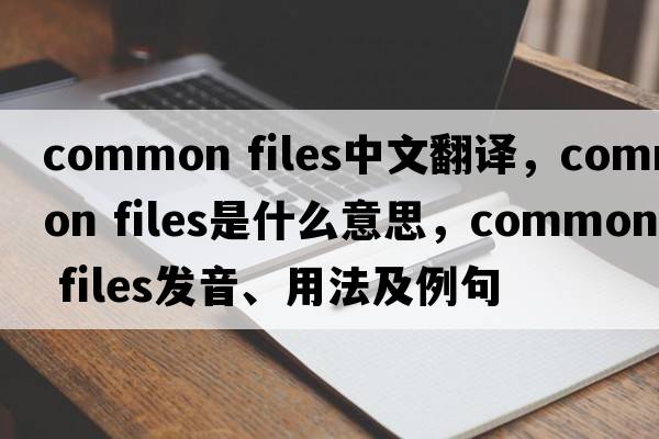 common files中文翻译，common files是什么意思，common files发音、用法及例句