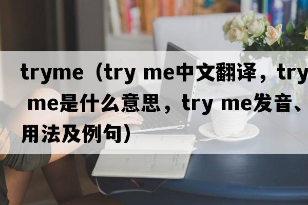 tryme（try me中文翻译，try me是什么意思，try me发音、用法及例句）