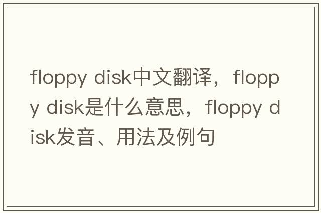 floppy disk中文翻译，floppy disk是什么意思，floppy disk发音、用法及例句