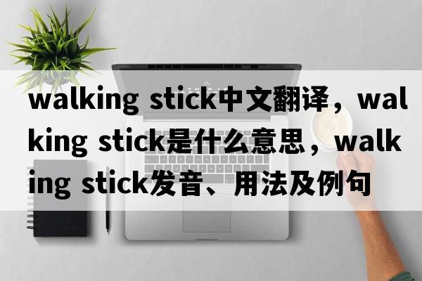walking stick中文翻译，walking stick是什么意思，walking stick发音、用法及例句