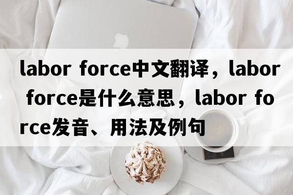 labor force中文翻译，labor force是什么意思，labor force发音、用法及例句
