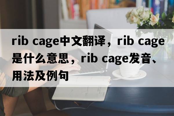 rib cage中文翻译，rib cage是什么意思，rib cage发音、用法及例句