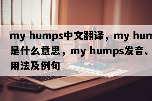 my humps中文翻译，my humps是什么意思，my humps发音、用法及例句