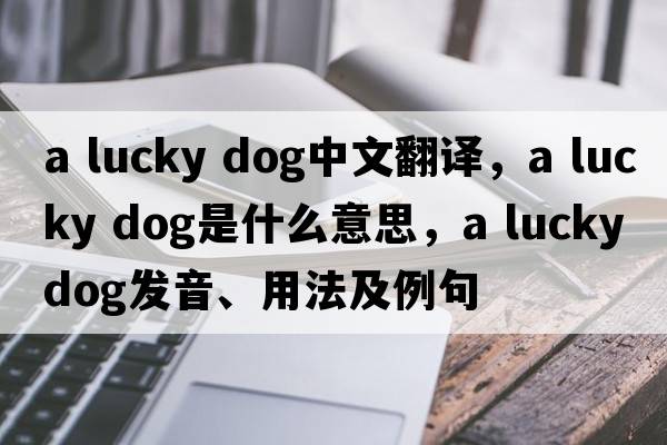 a lucky dog中文翻译，a lucky dog是什么意思，a lucky dog发音、用法及例句