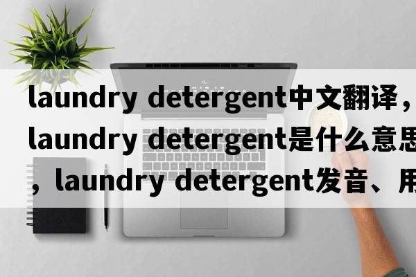 laundry detergent中文翻译，laundry detergent是什么意思，laundry detergent发音、用法及例句