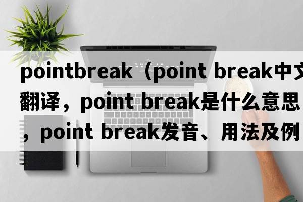 pointbreak（point break中文翻译，point break是什么意思，point break发音、用法及例句）